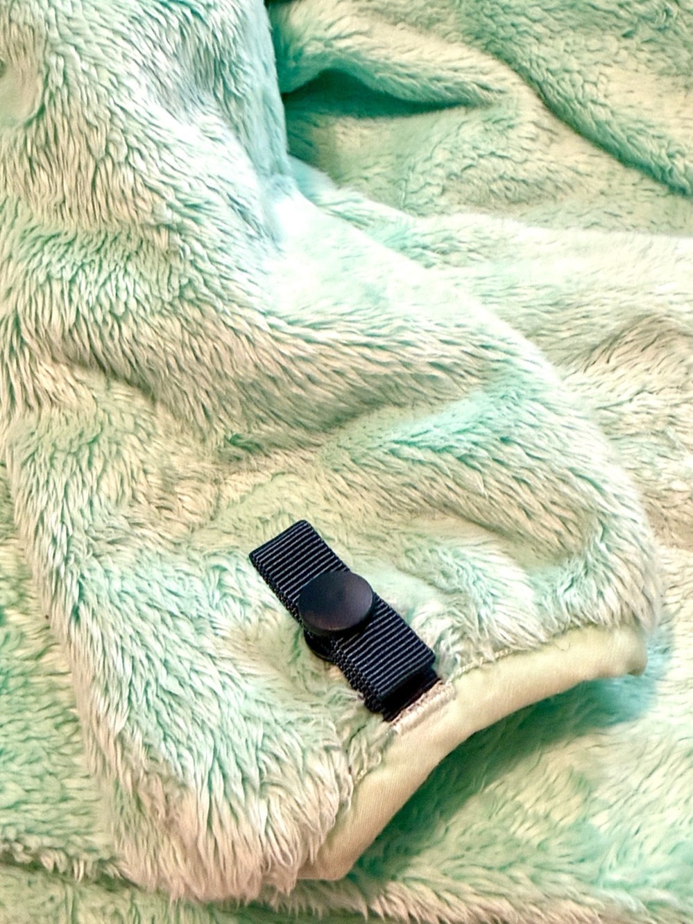 The North Face Full Zip Osito Jacket in Mint Green (s) - Picture 10 of 12